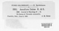 Image Associated With the Occurence